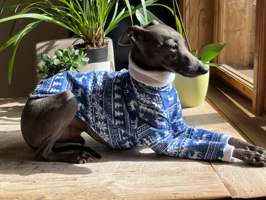 Blue reindeer Christmas top - UnoRuben