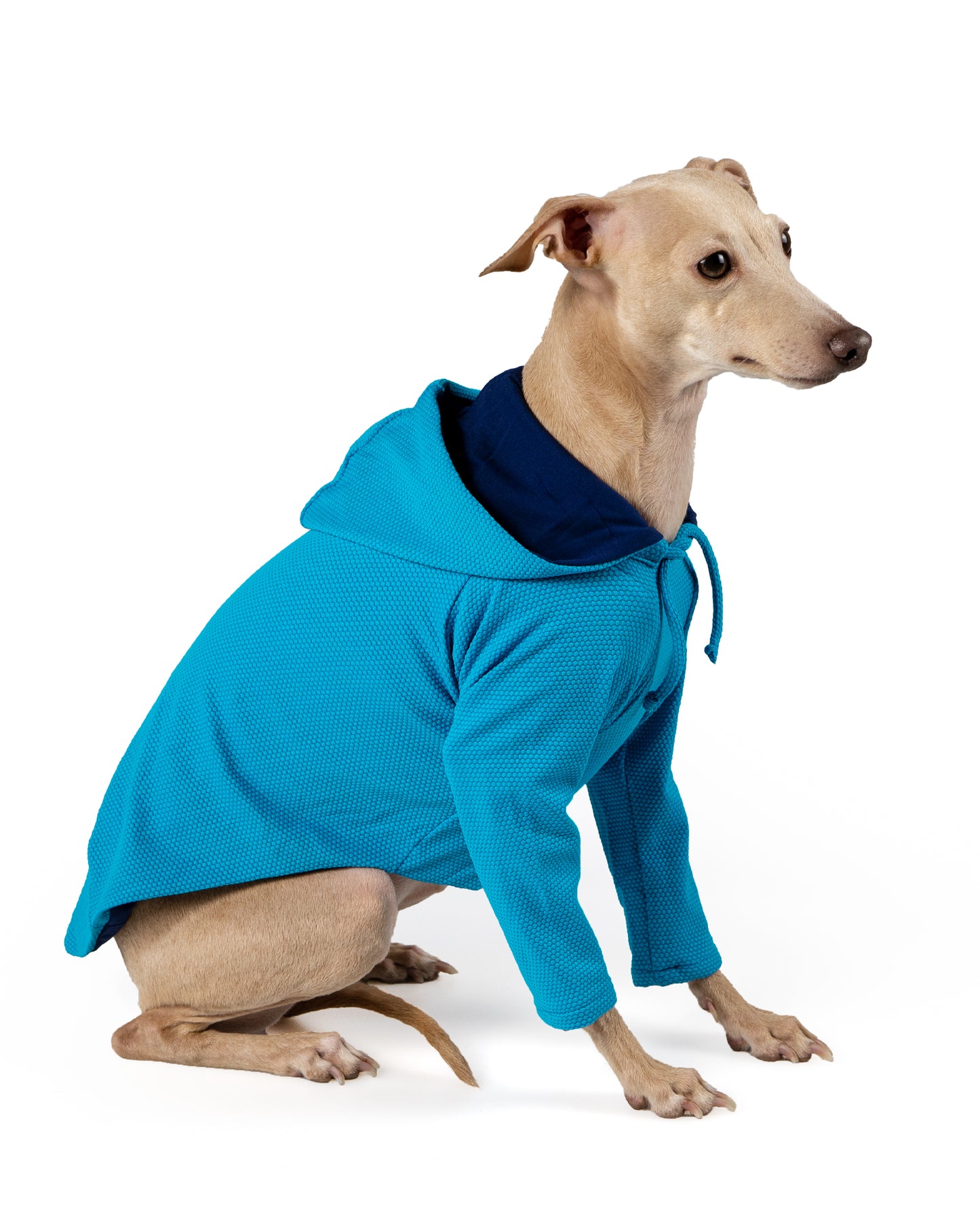 Long sleeves hoody top with lining