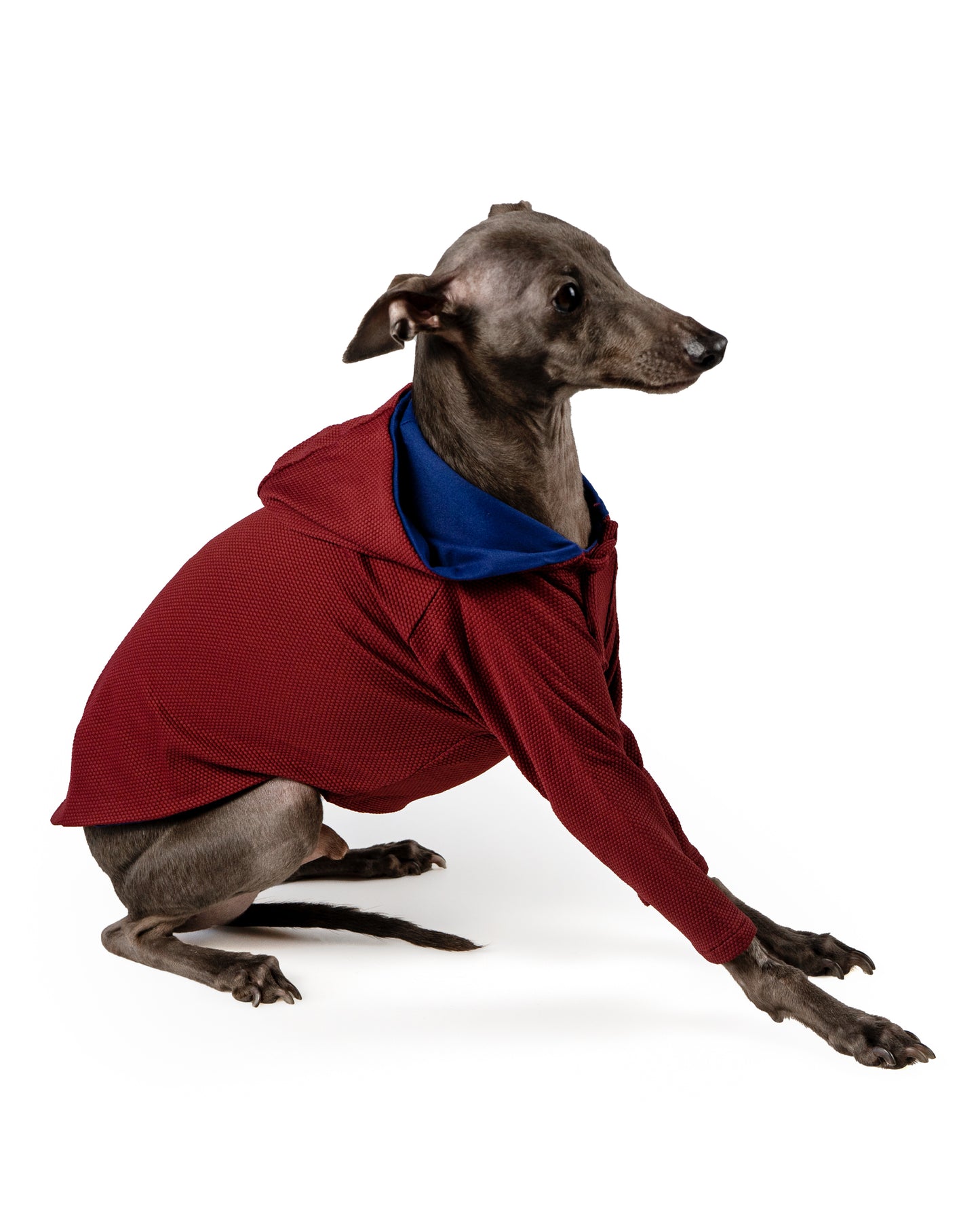 Long sleeves hoody top with lining
