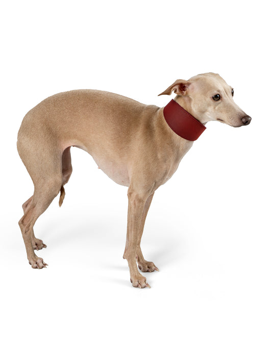 Calabria Reversible Dog Collar - UnoRuben