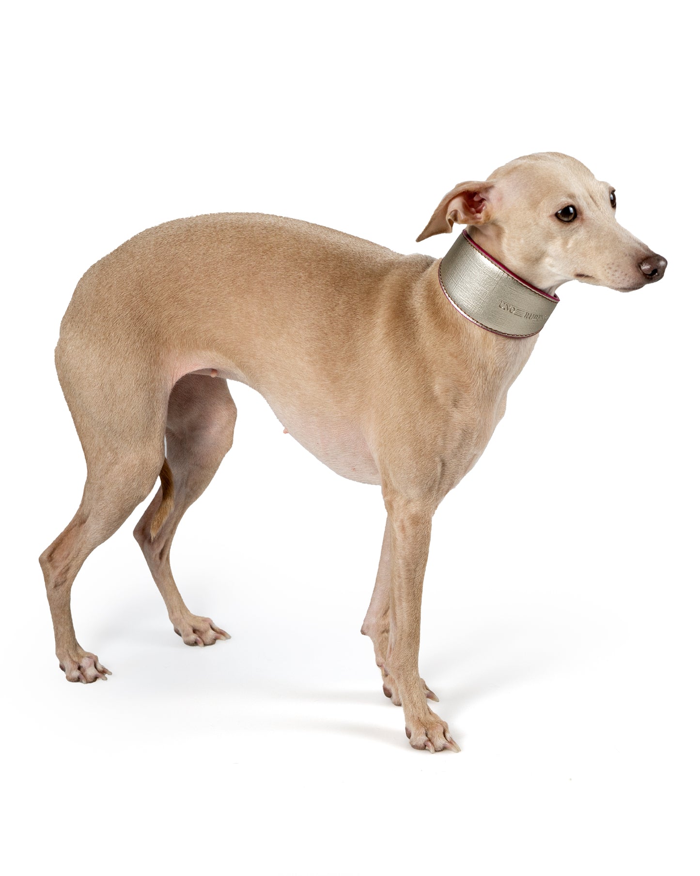 Sicilia Reversible Dog Collar - UnoRuben