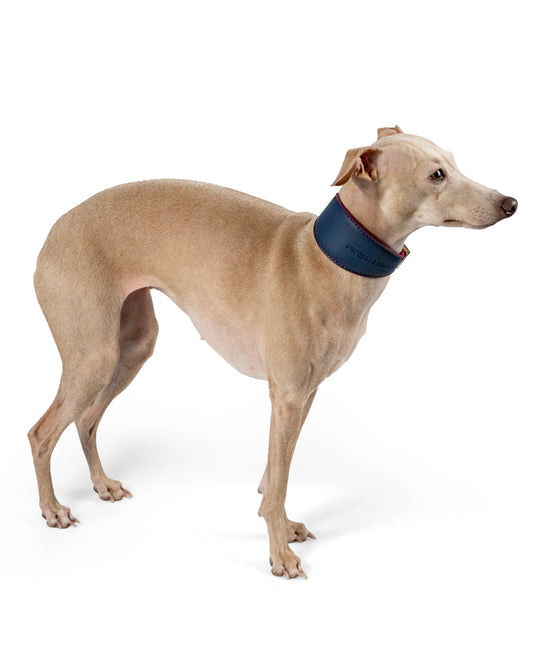 Piemonte Reversible Dog Collar - UnoRuben
