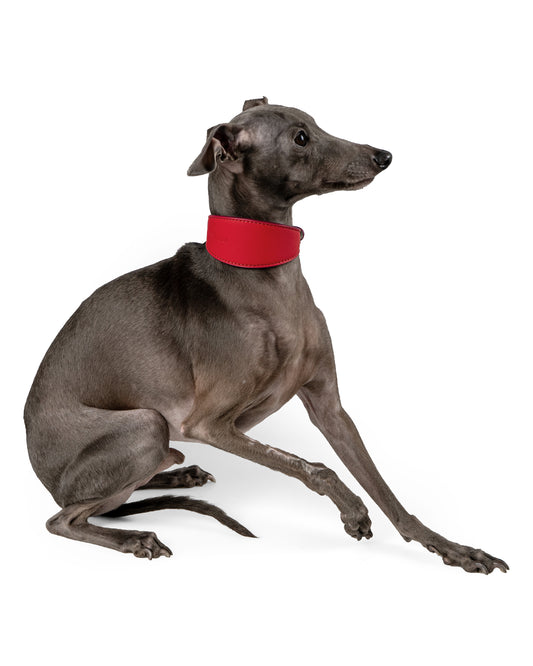 Veneto Reversible Dog Collar - UnoRuben