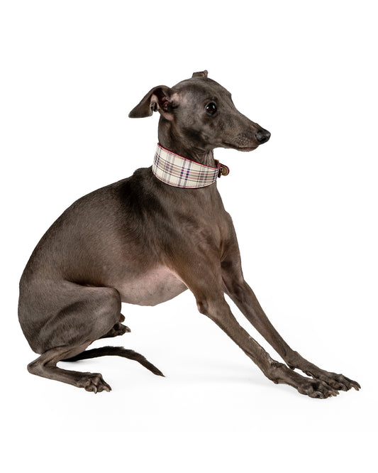 Trentino Reversible Dog Collar - UnoRuben