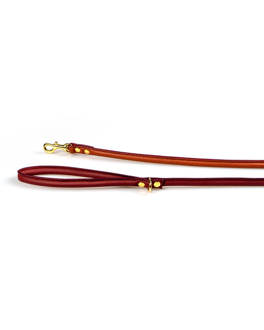 Abruzzo Dog Lead - UnoRuben