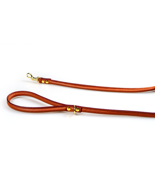 Abruzzo Dog Lead - UnoRuben