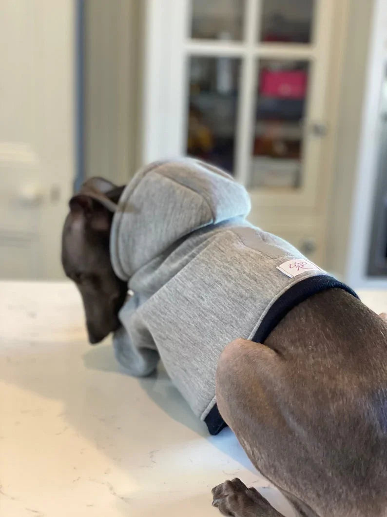 City Jogger Grey Italian Greyhound Hoodie - UnoRuben