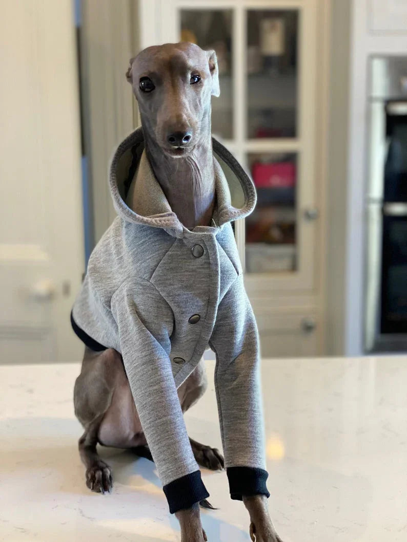 City Jogger Grey Italian Greyhound Hoodie - UnoRuben