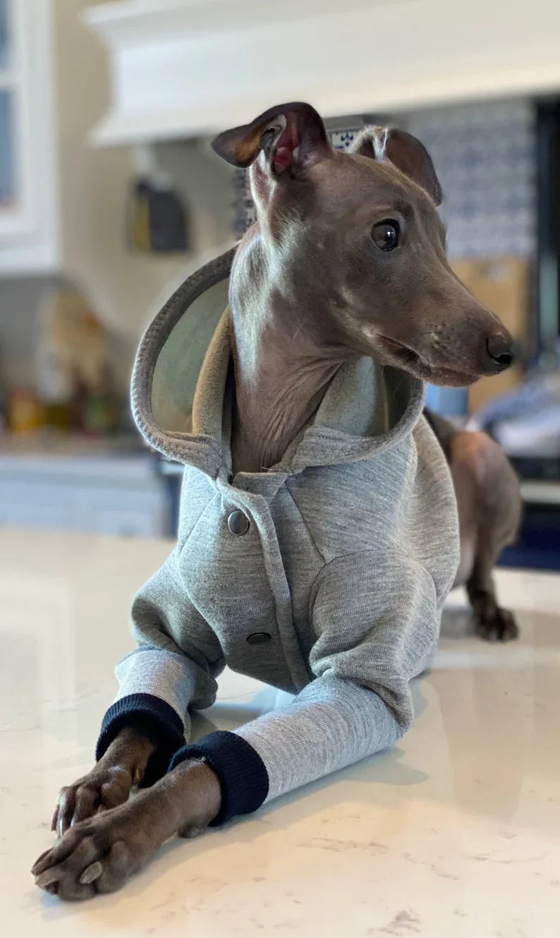 City Jogger Grey Italian Greyhound Hoodie - UnoRuben