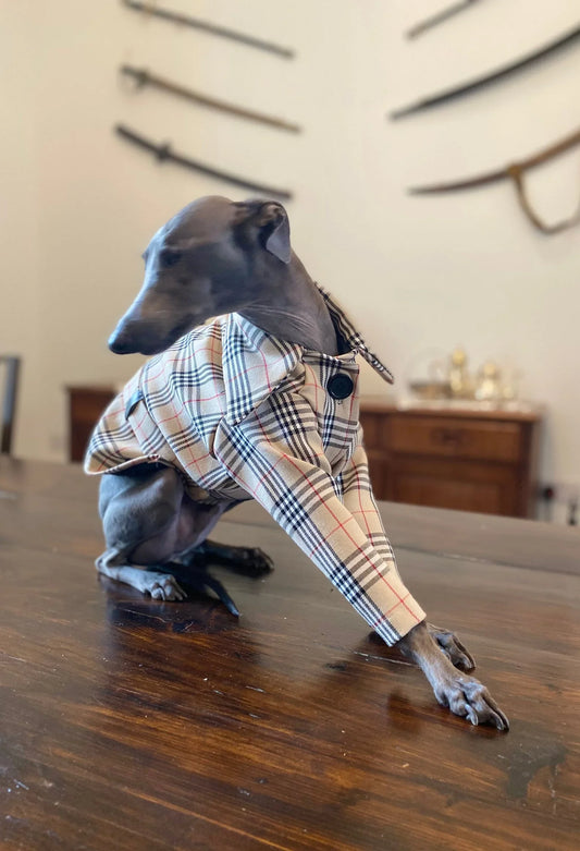 Classic Tartan Jacket - UnoRuben