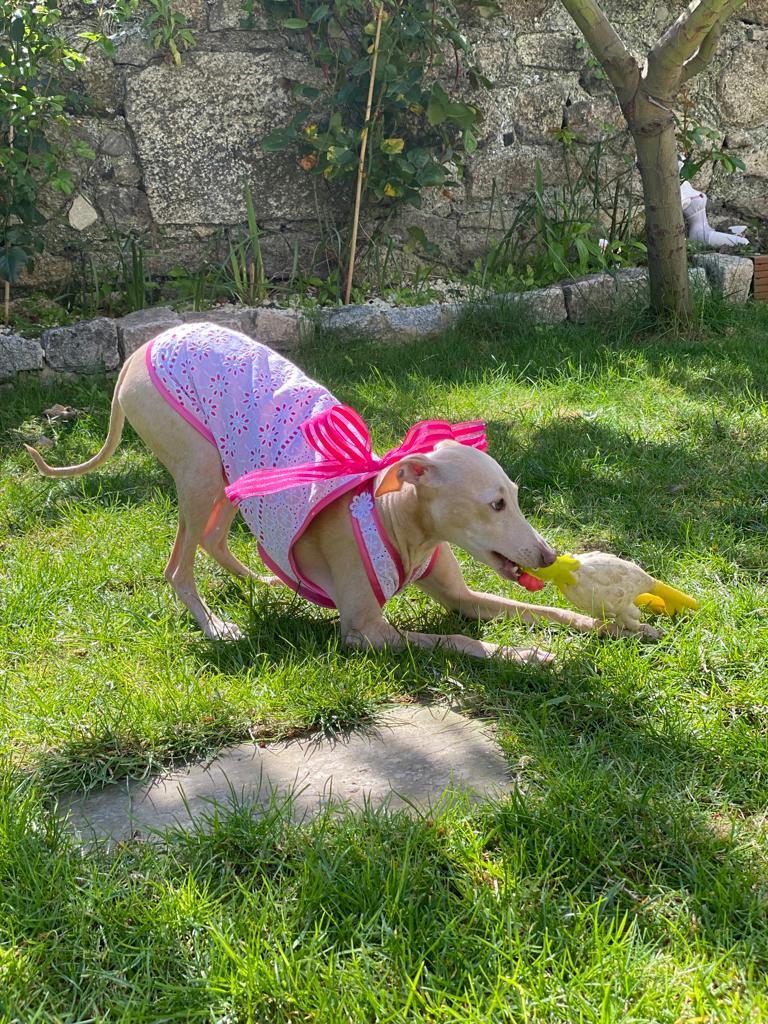 Summer Top Marylin - UnoRuben
