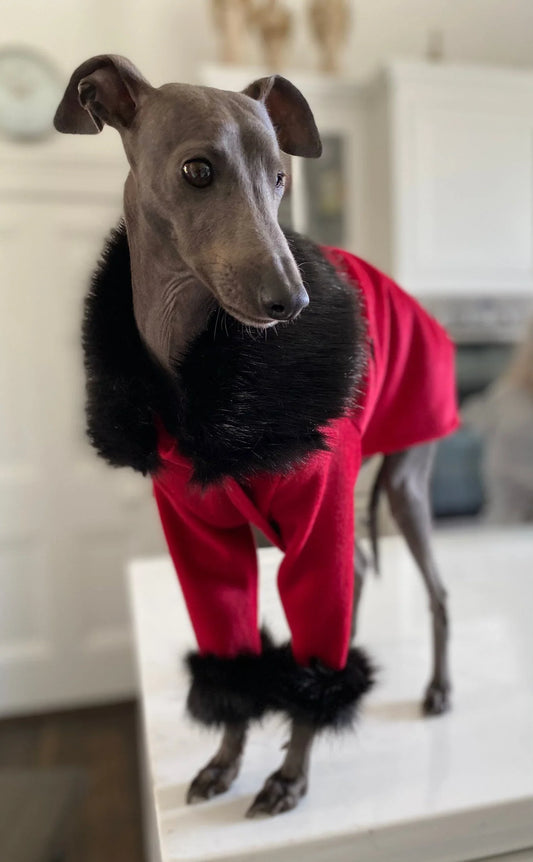 Red Passion Coat - UnoRuben