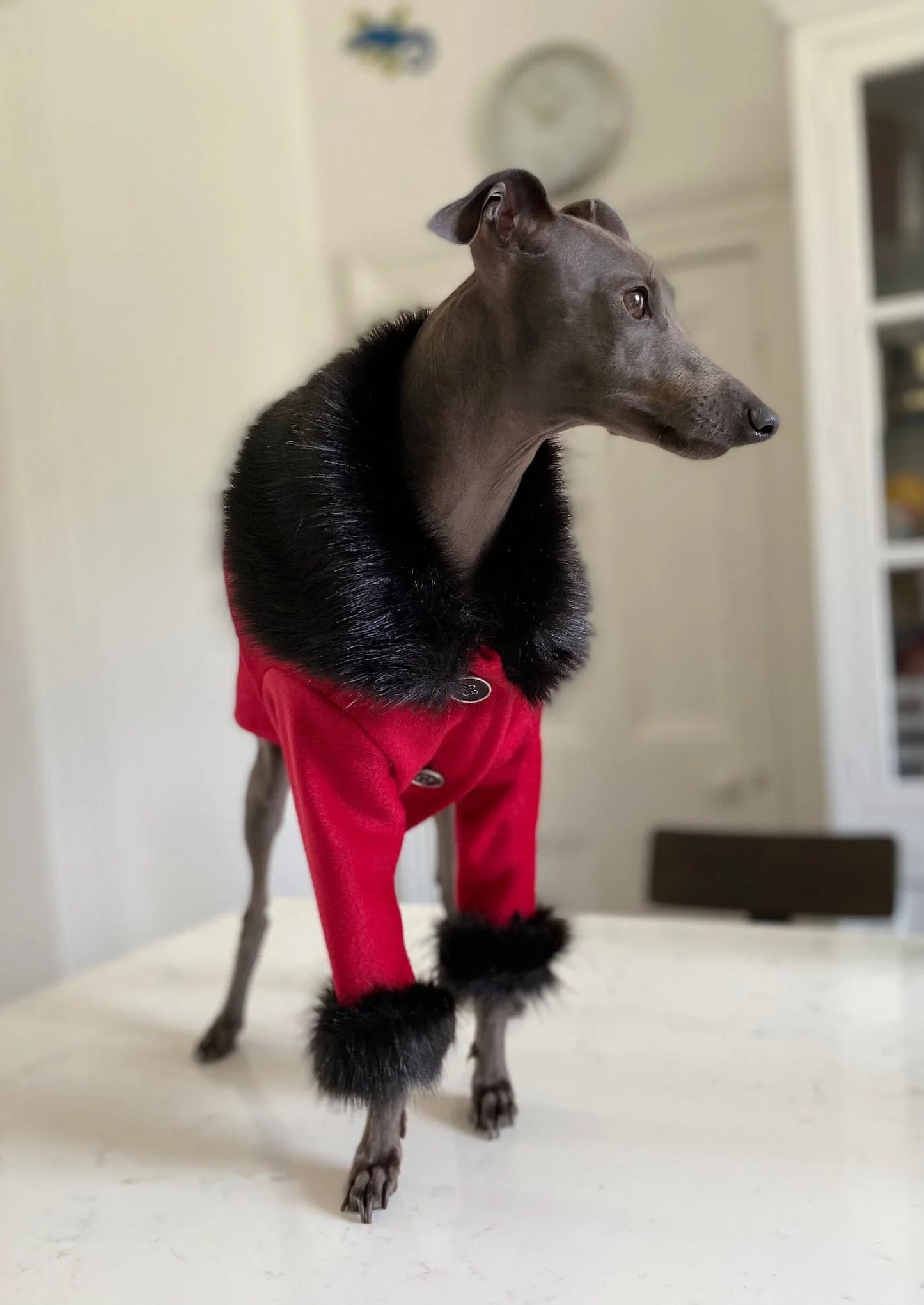 Red Passion Coat - UnoRuben