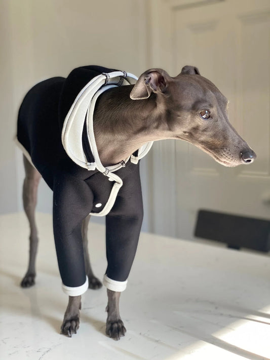 Sport Jacket - UnoRuben