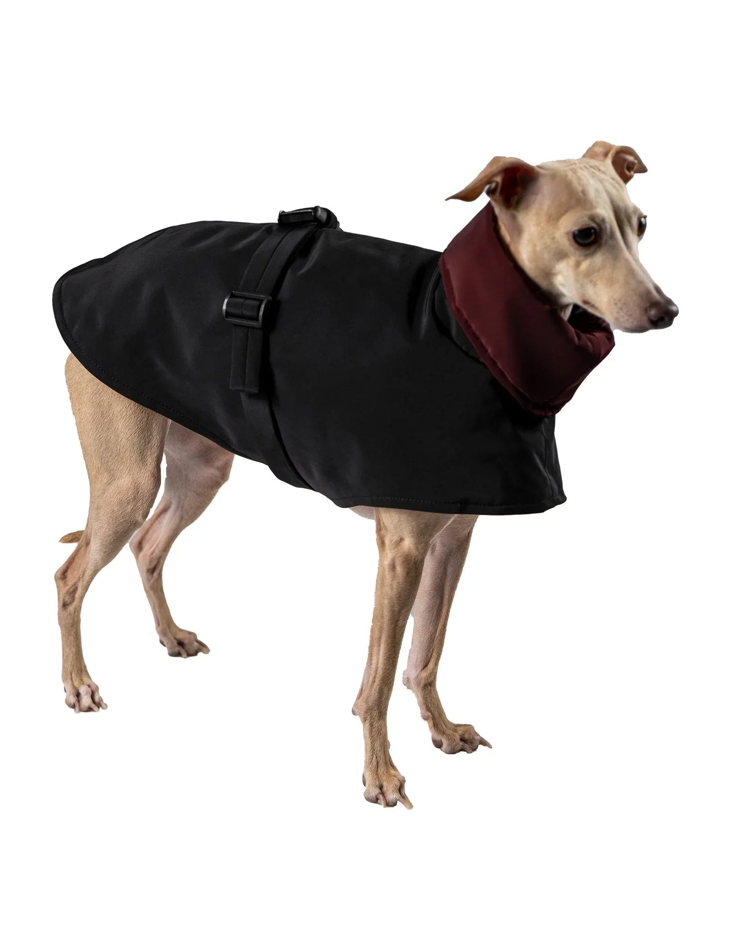 COATS - UnoRuben