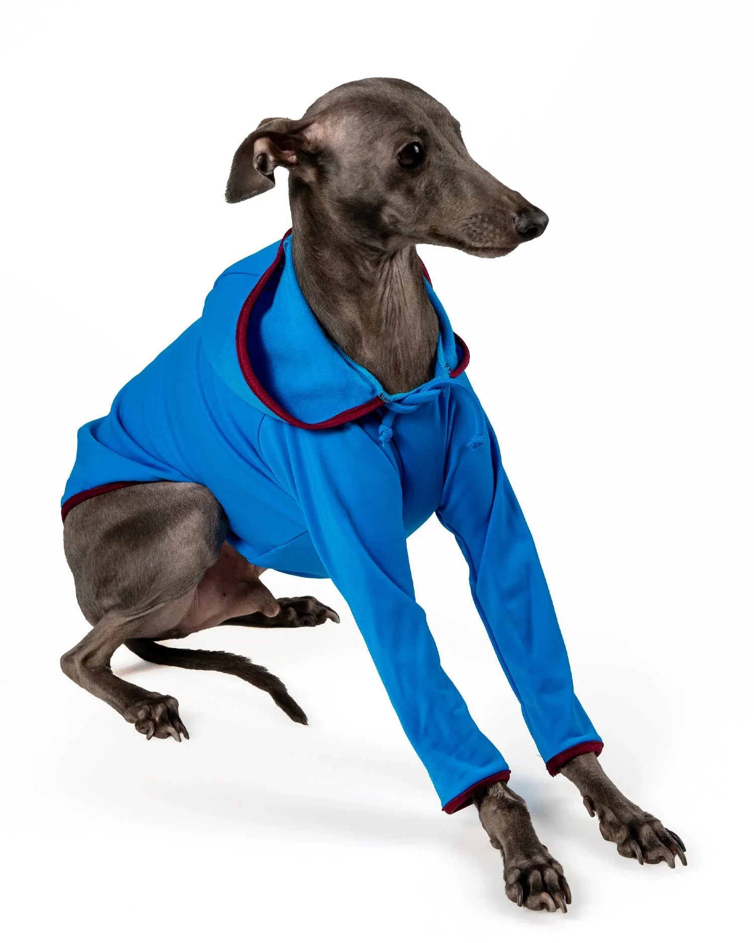 HOODIES - UnoRuben