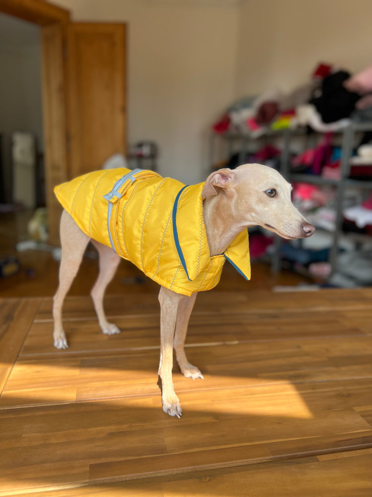 Yellow Waterproof Wrap Jacket