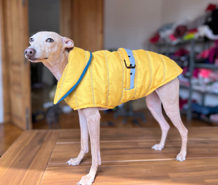 Yellow Waterproof Wrap Jacket