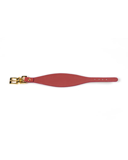 Lazio Reversible Dog Collar - UnoRuben