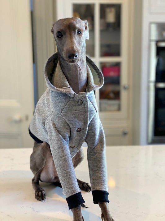 City Jogger Grey Italian Greyhound Hoodie