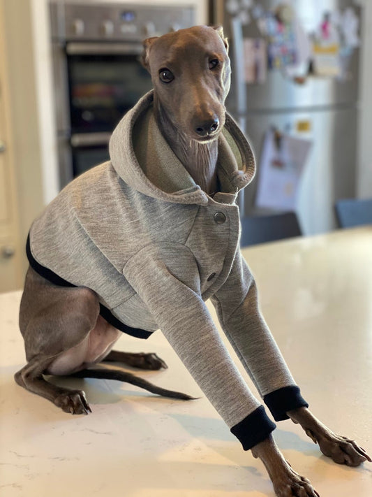 City Jogger Grey Italian Greyhound Hoodie