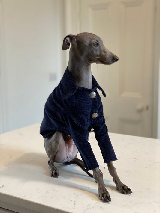 Cotton Corduroy Jacket