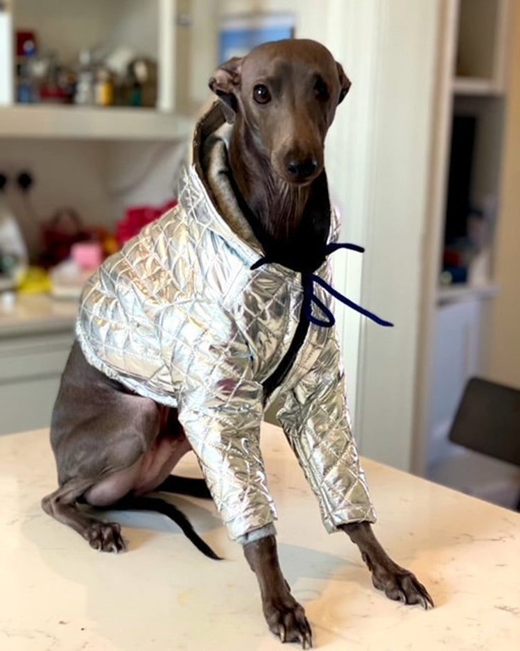 Italian Greyhound Handmade Metallic Silver Bomber Jacket